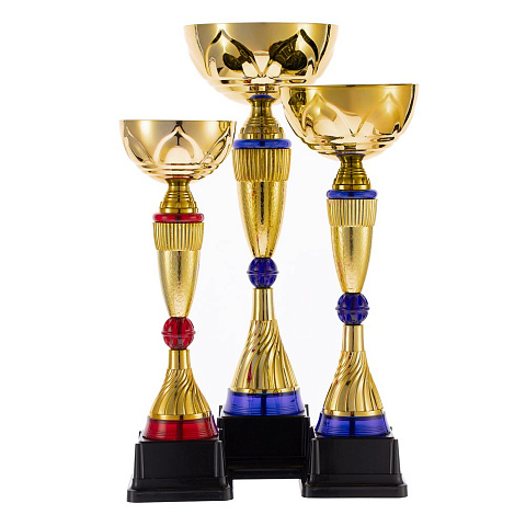 Кубок Awardee, средний, синий - рис 5.