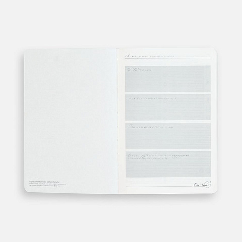 Ежедневник Extra, недатированный, черный - рис 11.